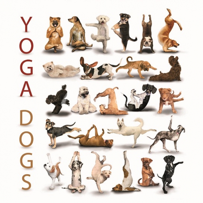 DogaDogs