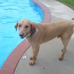 May2009 062